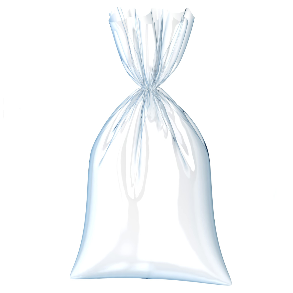 SACCHETTI BUSTA PER ALIMENTI 30X40 1 Kg   P.B.S.